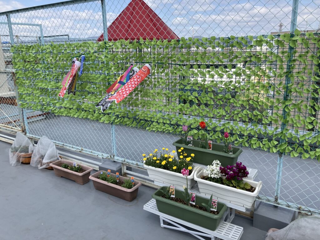 チューリップや季節の花を置いています